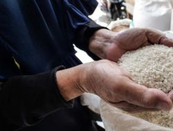 Kemenag Madiun Atur Zakat Fitrah Beras