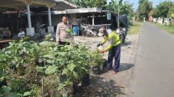 Polres Madiun Manfaatkan Pekarangan untuk Ketahanan Pangan